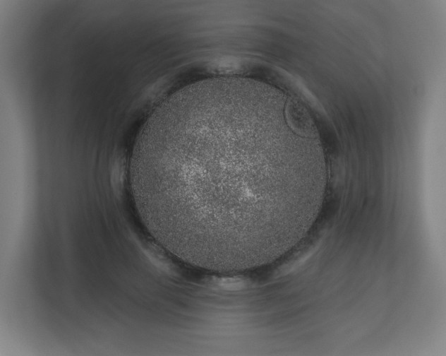 X0000110880645200906251249