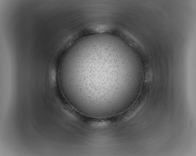 X0000110880646200906251249