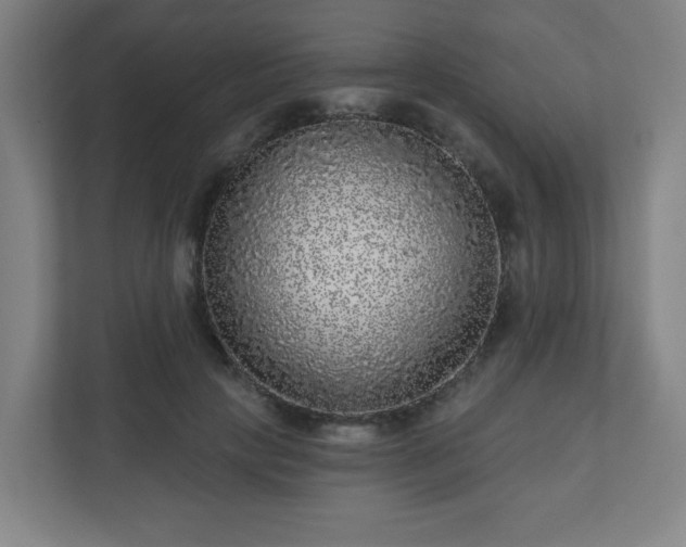 X0000110880649200906251249