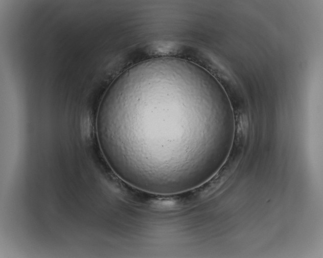 X0000110880651200906251249