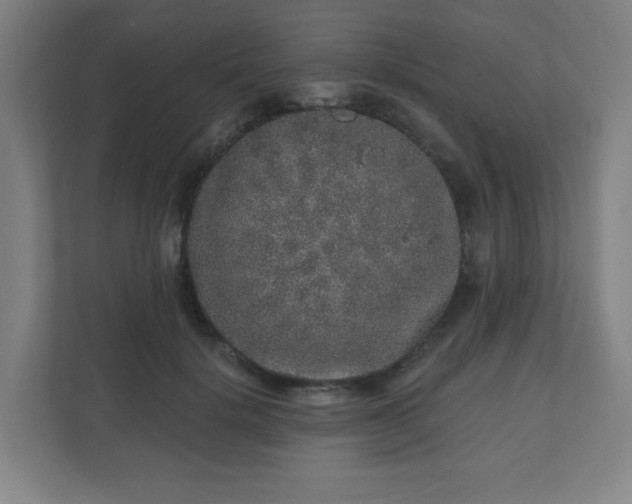 X0000110880652200906251249