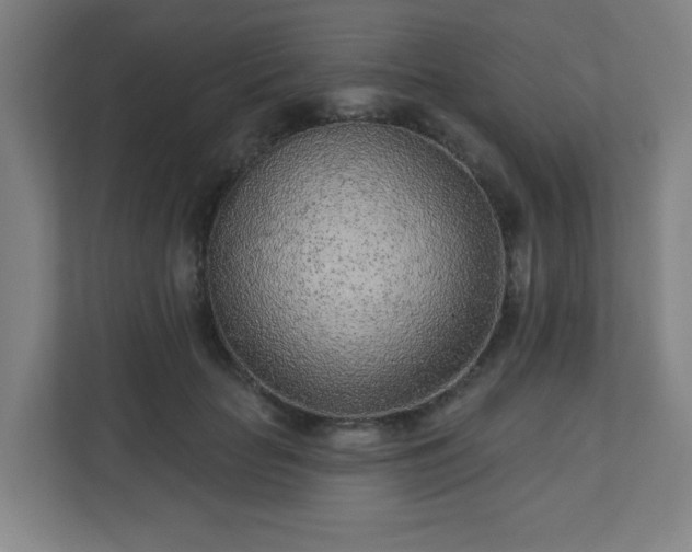 X0000110880653200906251249