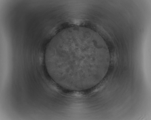 X0000110880656200906251250