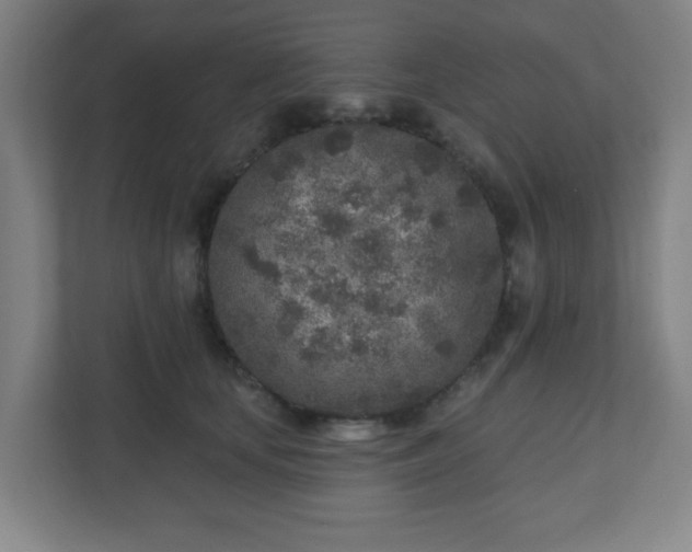 X0000110880659200906251250
