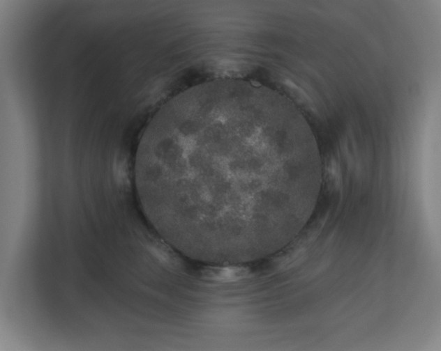 X0000110880663200906251250