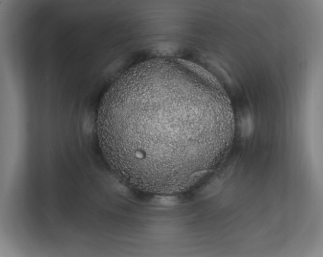 X0000110880665200906251250