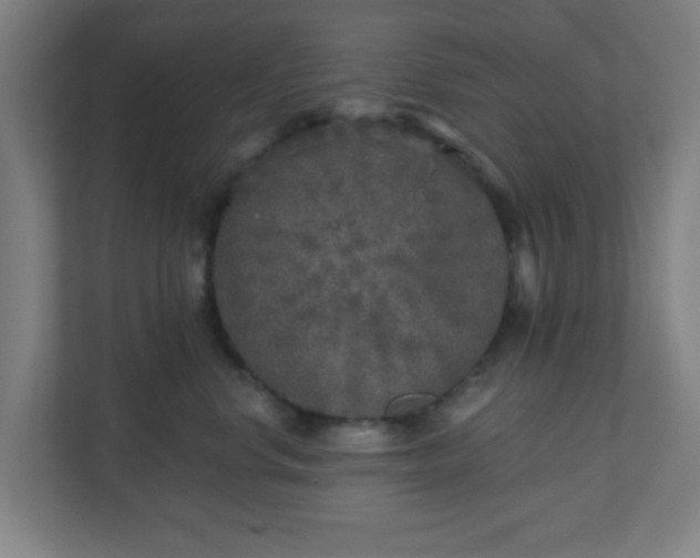 X0000110880668200906251250