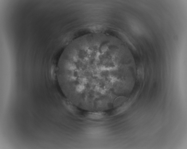 X0000110880671200906251250