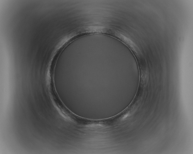 X0000110880674200906251249