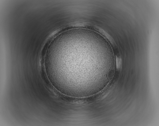 X0000110880675200906251249