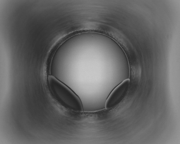 X0000110880676200906251249