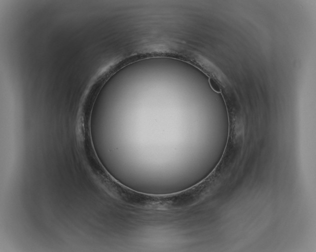 X0000110880680200906251249
