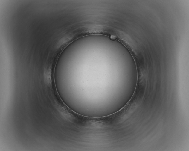 X0000110880681200906251249