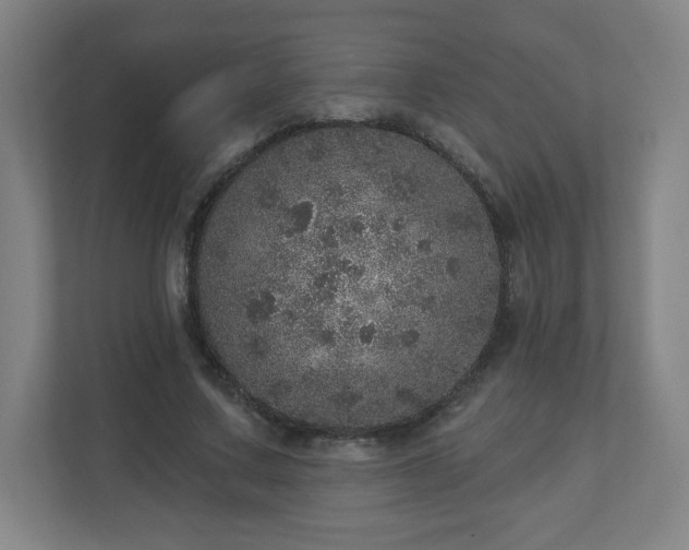 X0000110880683200906251249