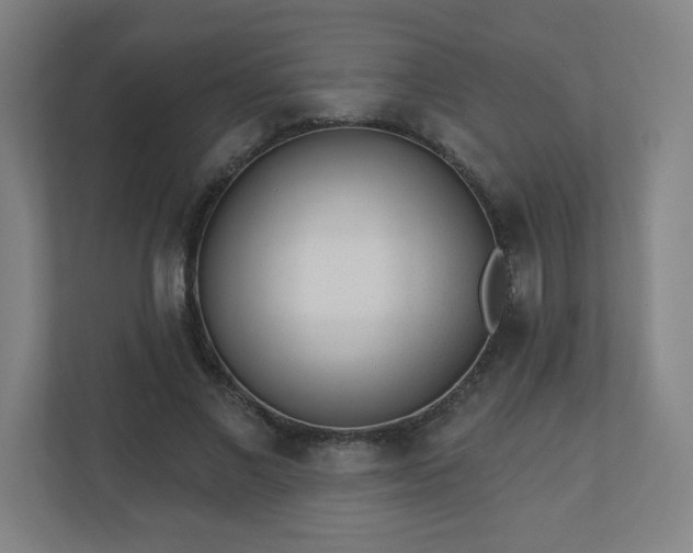 X0000110880685200906251249