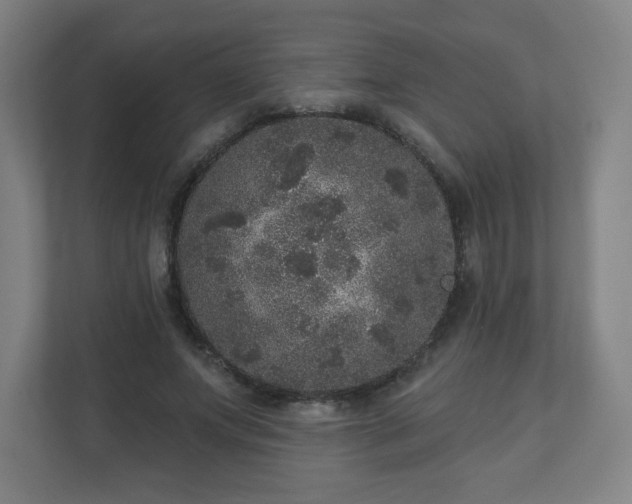 X0000110880687200906251249