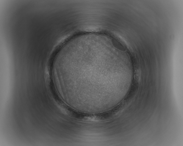 X0000110880688200906251249