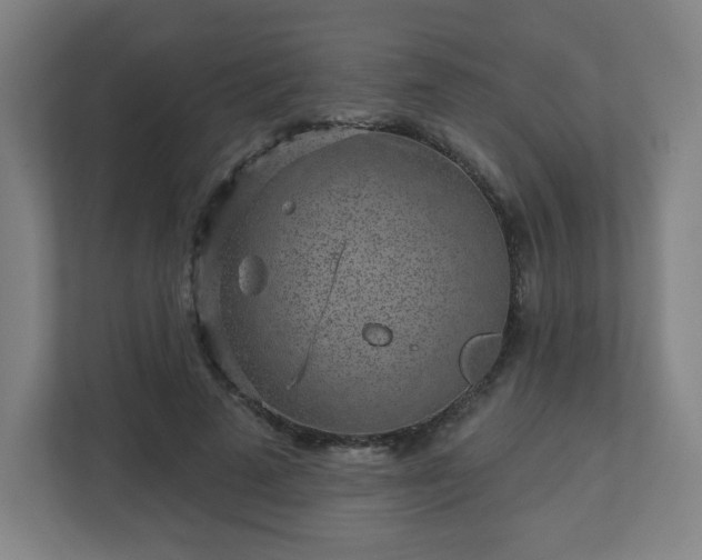 X0000110880689200906251249