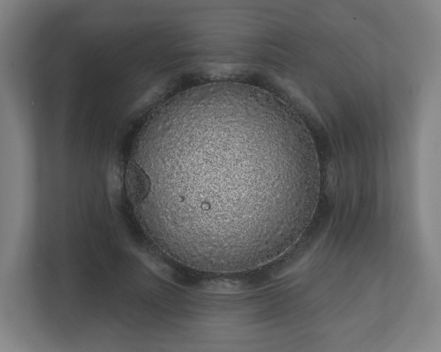 X0000110880691200906251249