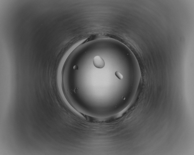 X0000110880693200906251249