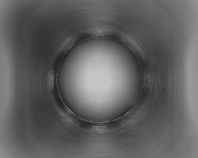 X0000110880694200906251249