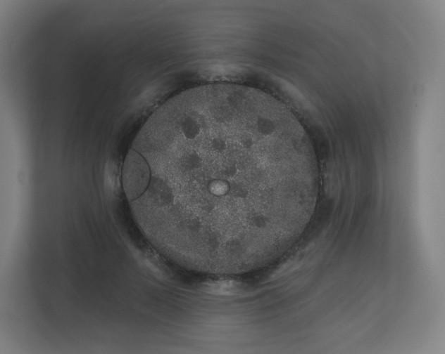 X0000110880695200906251249
