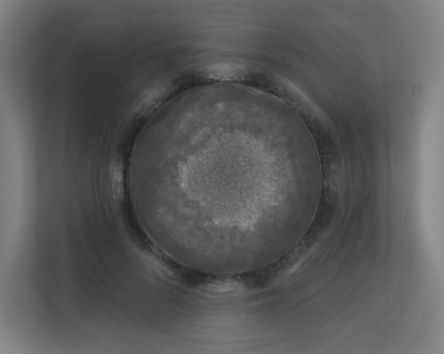 X0000110880696200906251249