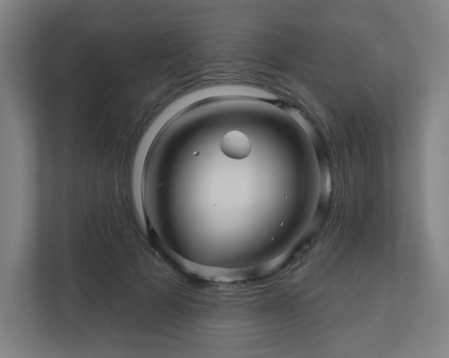 X0000110880697200906251249