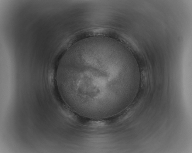 X0000110880698200906251249