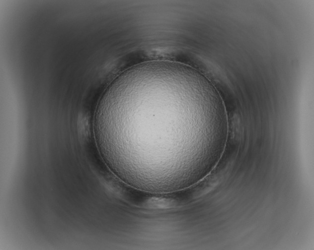 X0000110880699200906251249