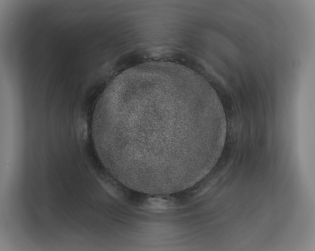 X0000110880703200906251249