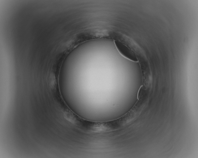 X0000110880704200906251249