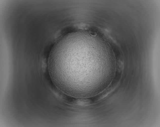 X0000110880707200906251249