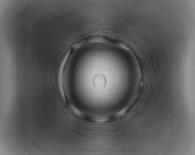 X0000110880708200906251249