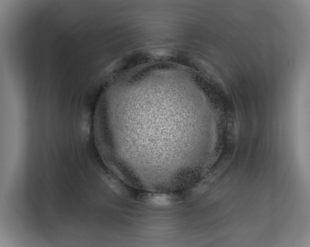 X0000110880710200906251249