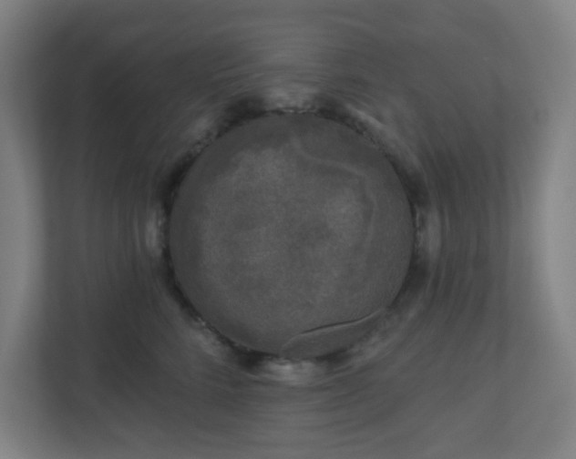 X0000110880712200906251249