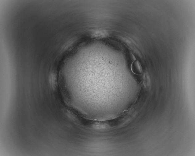 X0000110880714200906251249