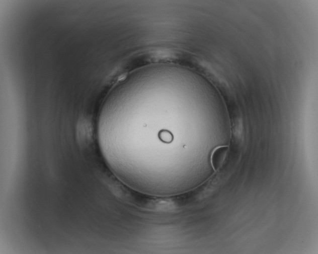 X0000110880715200906251249