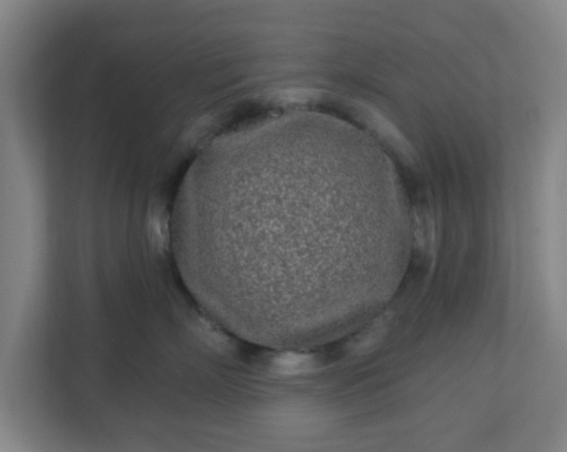 X0000110880718200906251249
