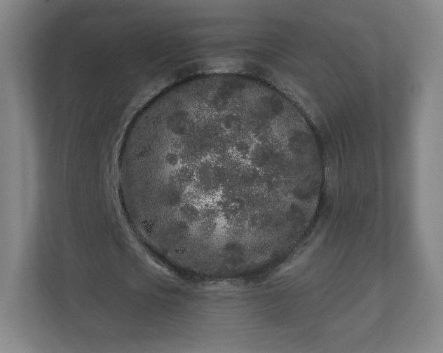 X0000110880721200906251248