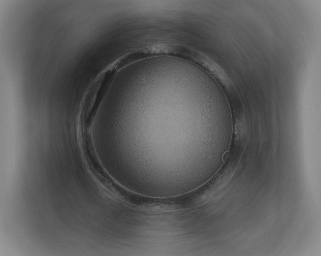 X0000110880722200906251248