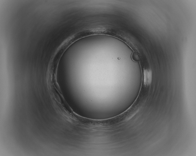 X0000110880723200906251248