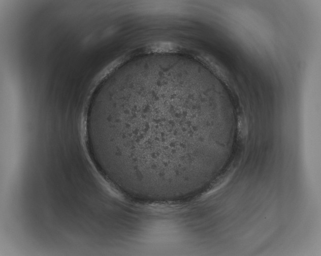 X0000110880725200906251248