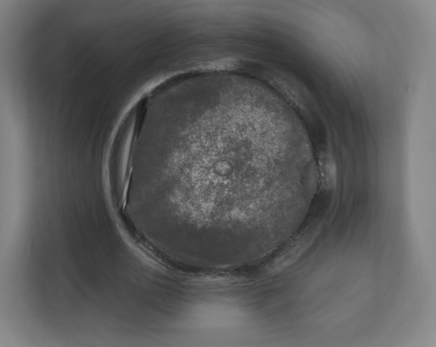 X0000110880726200906251248