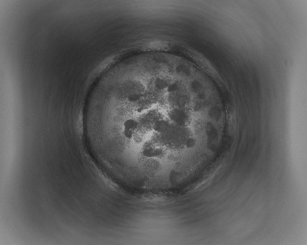 X0000110880729200906251248