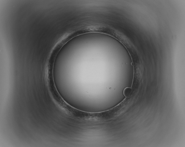 X0000110880730200906251248