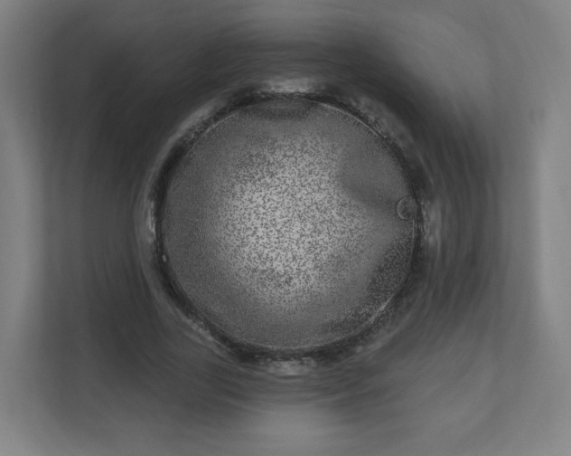 X0000110880731200906251248