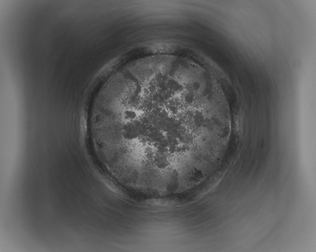 X0000110880733200906251248