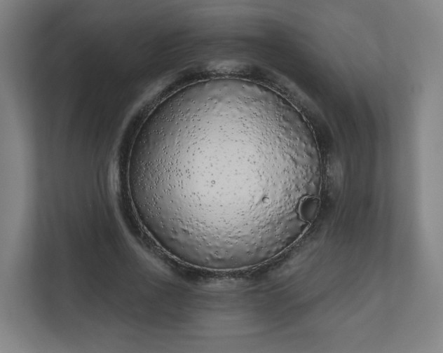 X0000110880734200906251248