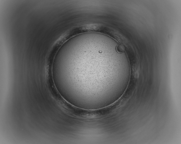 X0000110880735200906251248